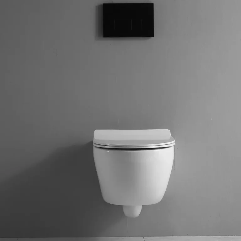 Wall Hanging toilet -18